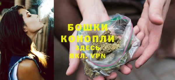 ГАЛЛЮЦИНОГЕННЫЕ ГРИБЫ Вязьма