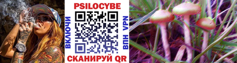 Псилоцибиновые грибы Psilocybine cubensis Одинцово